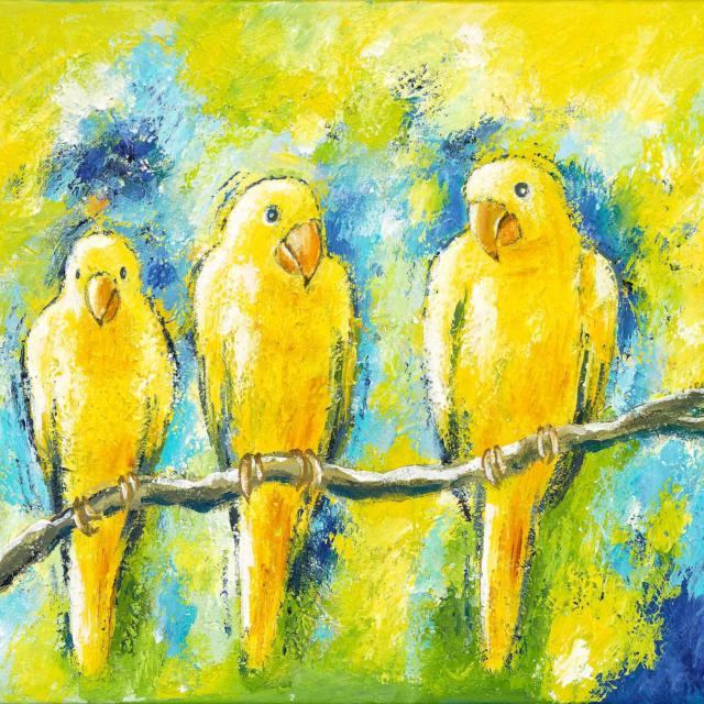 Lene Schmidt-Petersen: "Tre gule undulater føler sig godt tilpas" (50x40 cm)